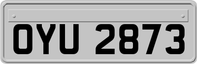 OYU2873