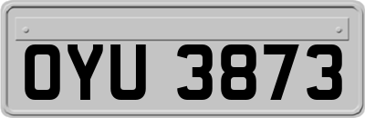 OYU3873