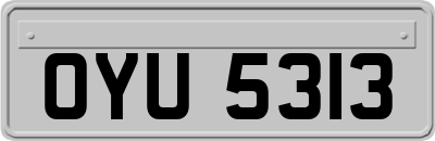 OYU5313
