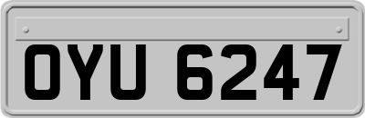 OYU6247
