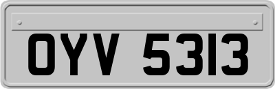 OYV5313