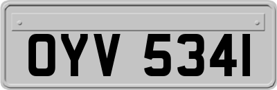 OYV5341