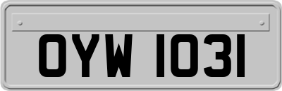 OYW1031