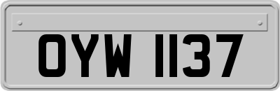OYW1137