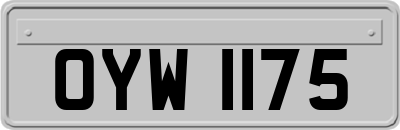 OYW1175