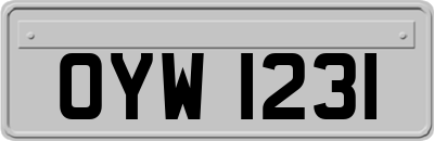 OYW1231