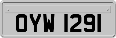 OYW1291