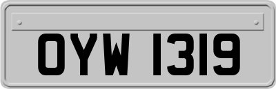 OYW1319