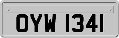 OYW1341