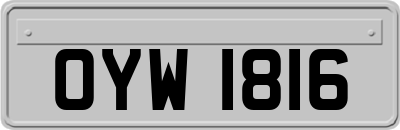 OYW1816