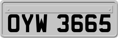 OYW3665