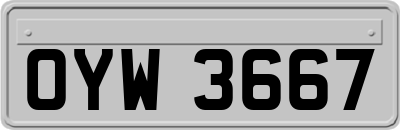 OYW3667