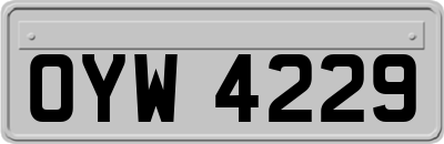 OYW4229