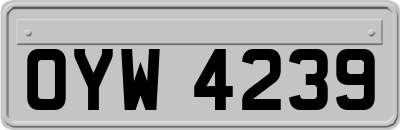 OYW4239
