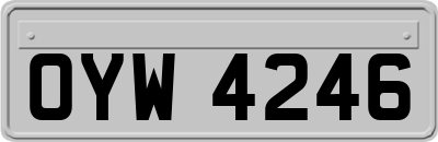 OYW4246