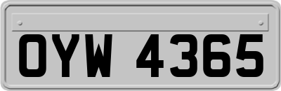 OYW4365