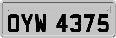 OYW4375