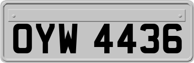 OYW4436