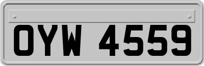 OYW4559