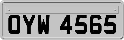 OYW4565