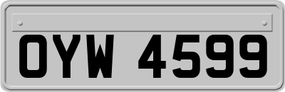 OYW4599