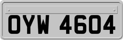 OYW4604