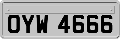 OYW4666