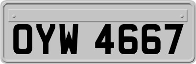 OYW4667