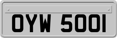 OYW5001