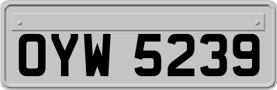 OYW5239