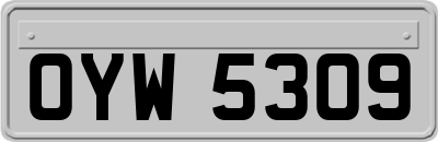 OYW5309
