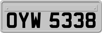 OYW5338