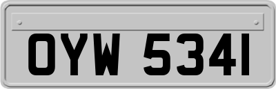 OYW5341