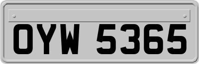 OYW5365