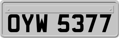 OYW5377