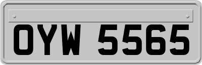 OYW5565