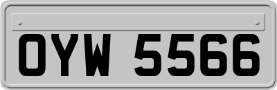 OYW5566