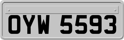 OYW5593