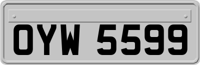 OYW5599