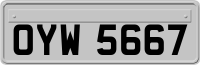 OYW5667