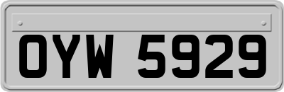 OYW5929