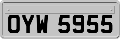 OYW5955