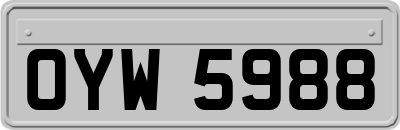 OYW5988