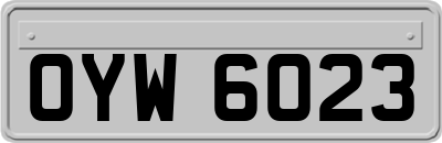OYW6023