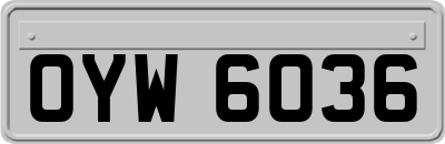 OYW6036