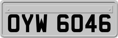 OYW6046