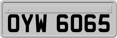 OYW6065