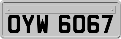 OYW6067