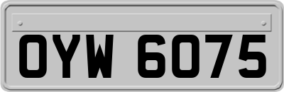OYW6075