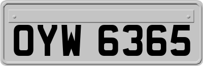 OYW6365